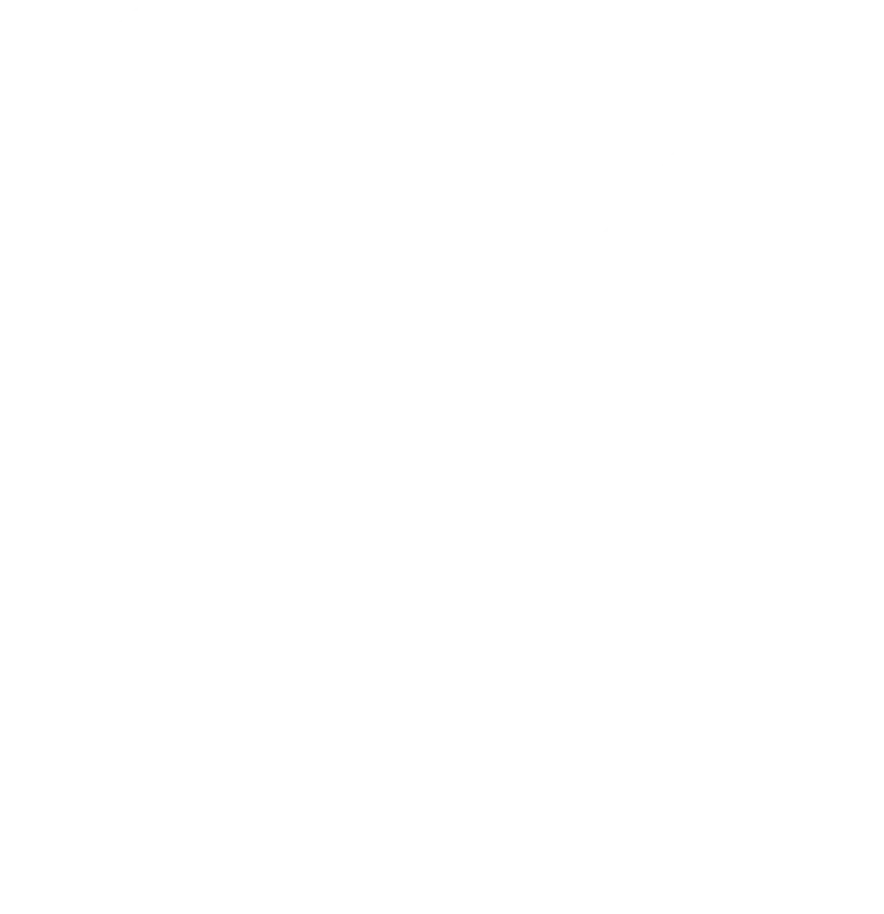 Brandschutz Tobias Scheunemann - Brandschutz und Schulung - Dokumentensymbol