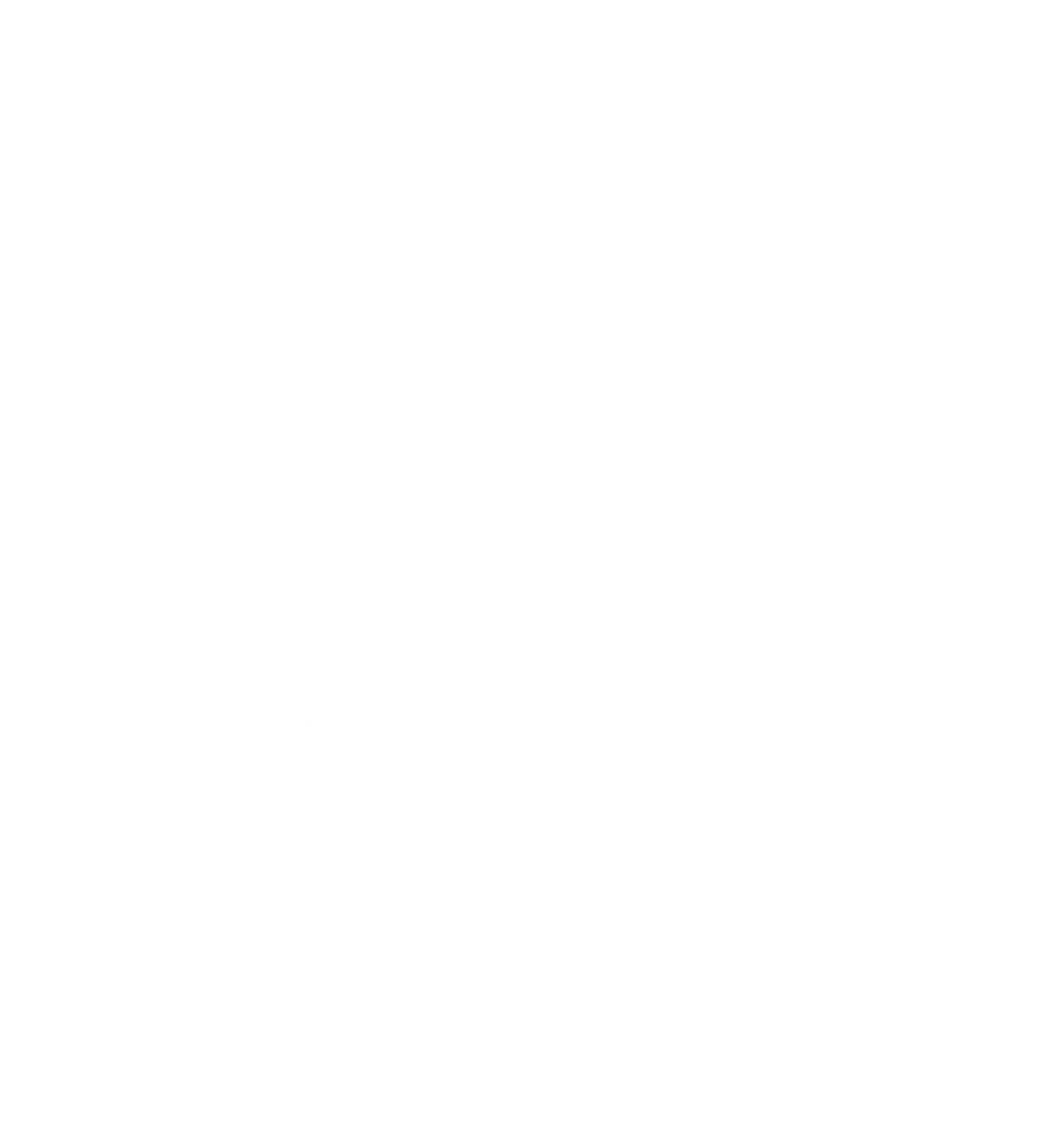 Brandschutz Tobias Scheunemann - Brandschutz und Schulung - Profilsymbol